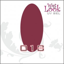 Gel Color Wet Look 5g #018